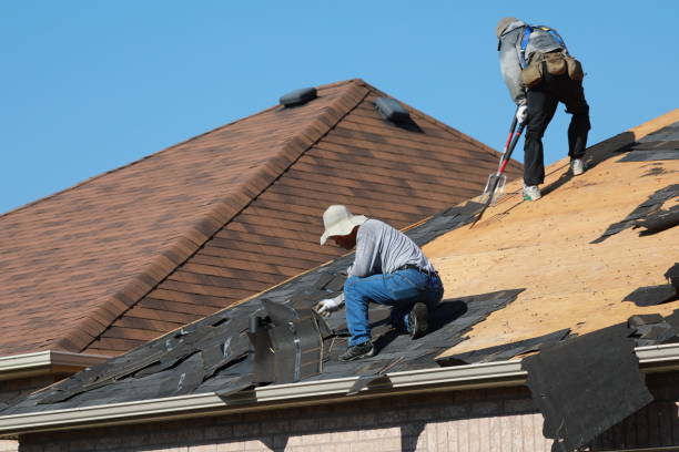 Best Roof Restoration  in Swanton, OH